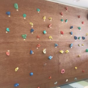 Customize Home Climbing wall