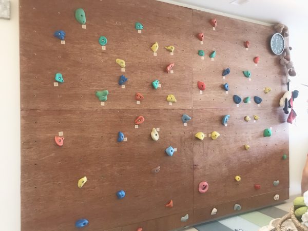 Customize Home Climbing wall