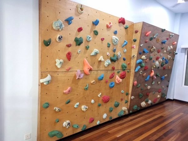 Customize Home Climbing wall - Image 2