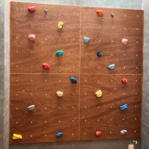 Home Climbing Wall